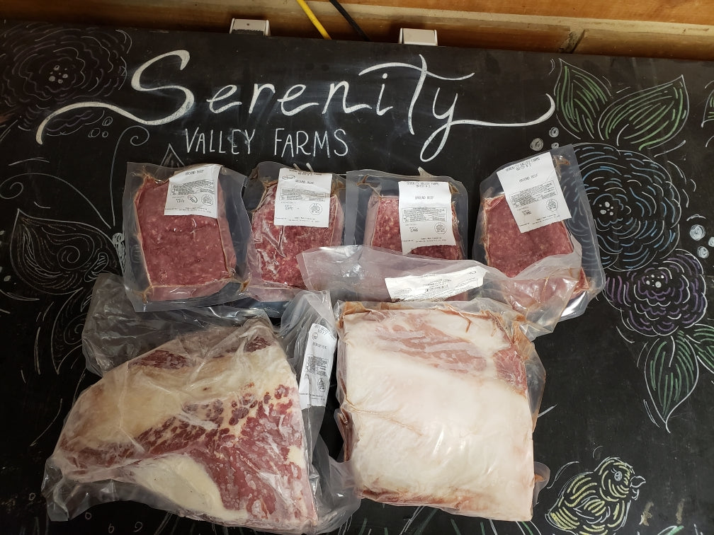Family Fest Bundle