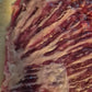 Beef- Tri Tip Steak