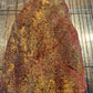 Beef- Tri Tip Steak